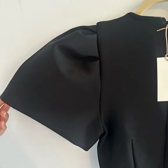 Black Mini Sheath Dress with Puff Cap Sleeves and Gray Bows - Picture 5 of 5